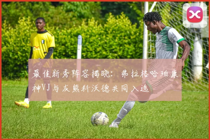 最佳新秀阵容揭晓：弗拉格哈珀康神VJ与灰熊科沃德共同入选
