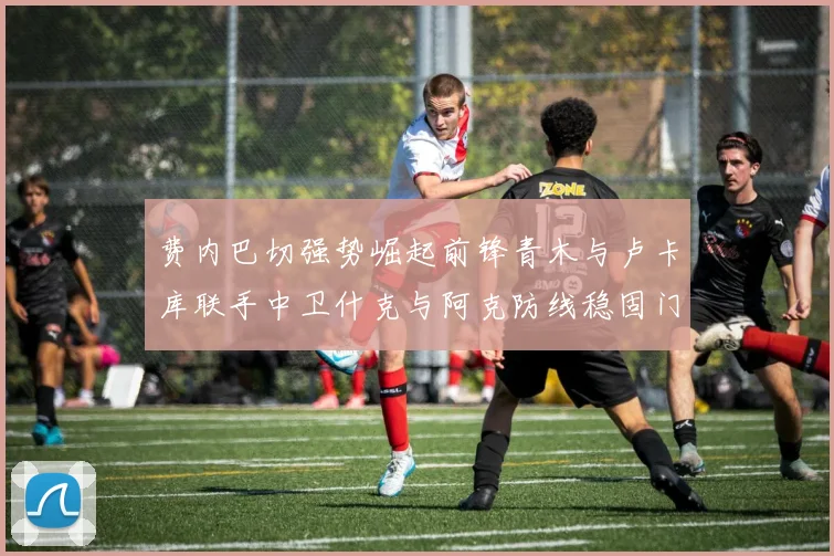 费内巴切强势崛起前锋青木与卢卡库联手中卫什克与阿克防线稳固门将埃德松实力不容小觑