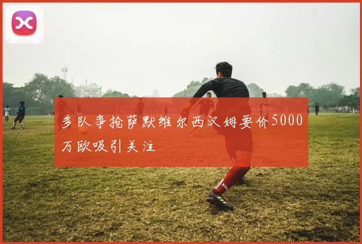 多队争抢萨默维尔西汉姆要价5000万欧吸引关注